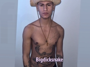 bigdicksnake Film Porno