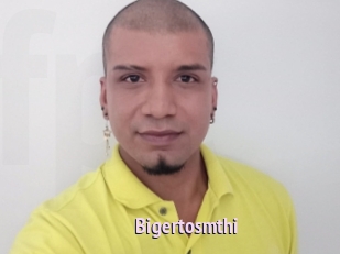 Bigertosmthi