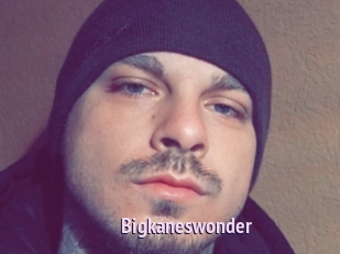 Bigkaneswonder