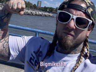 Bigmikesfit