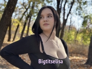 Bigtitselisa