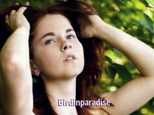 Birdinparadise