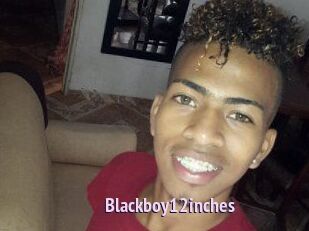 Blackboy12inches