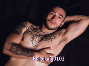 Blakeking0102