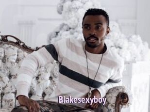 Blakesexyboy
