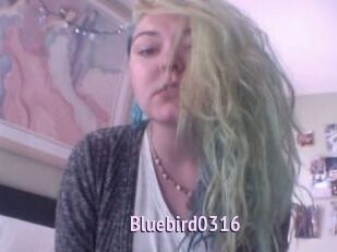 Bluebird0316