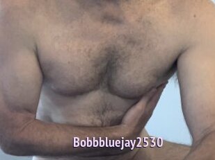 Bobbbluejay2530