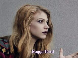 Boggartbird