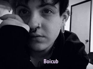 Boicub