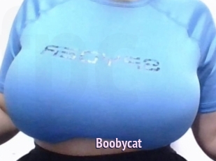 Boobycat