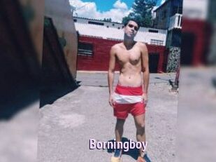 Borningboy