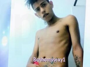Boyhornysexy1
