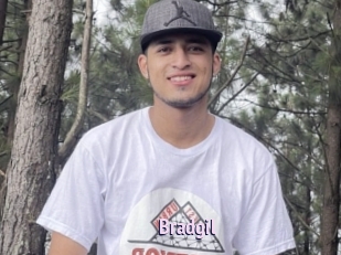 Bradgil