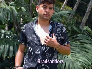Bradsanders