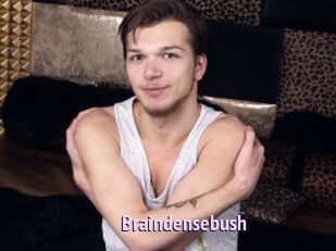Braindensebush