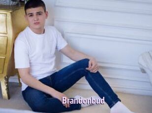 Brandonbud