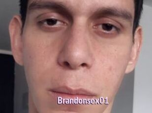 Brandonsex01