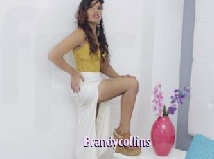 Brandycollins