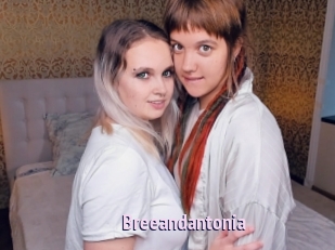 Breeandantonia