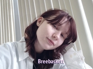 Breebaskett