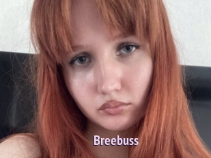 Breebuss
