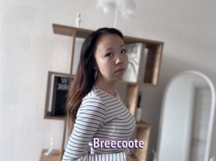 Breecoote