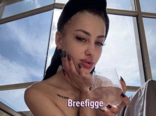 Breefigge