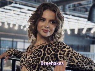 Breehakes