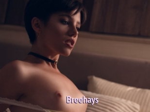 Breehays