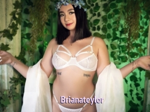 Brianateylor