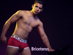 Bricetorus