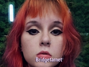 Bridgetarnet
