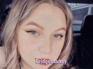Bridgetharkey