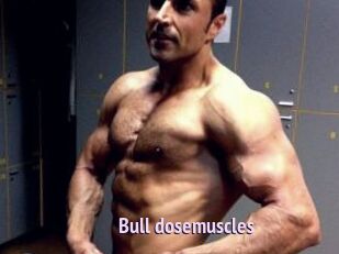 Bull_dosemuscles