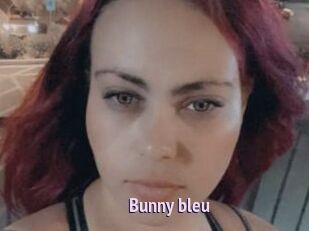 Bunny_bleu