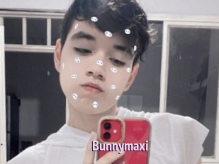 Bunnymaxi