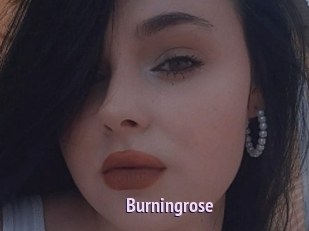 Burningrose