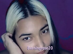 Burningrose20