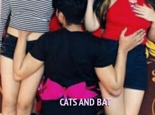 CATS_AND_BAT