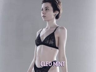 CLEO_MINT
