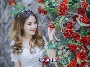 Calanthas