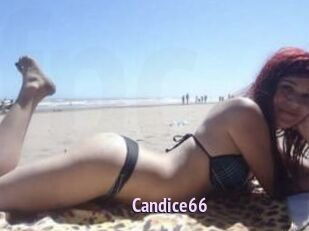 Candice66