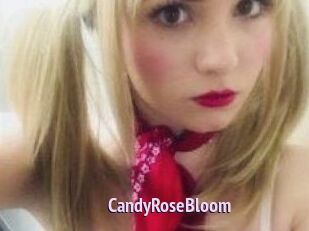 CandyRoseBloom