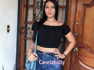 Canelaholly