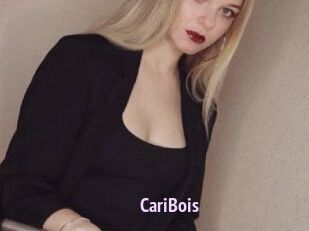 CariBois