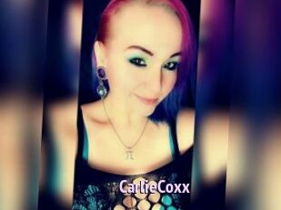 CarlieCoxx