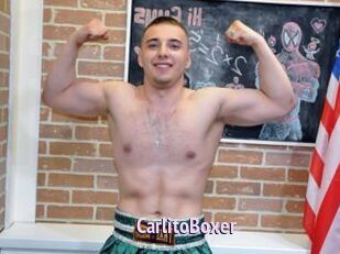 CarlitoBoxer