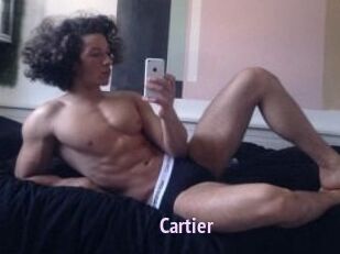 Cartier_ Film Porno