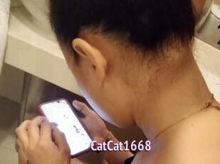 CatCat1668