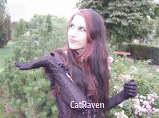 CatRaven